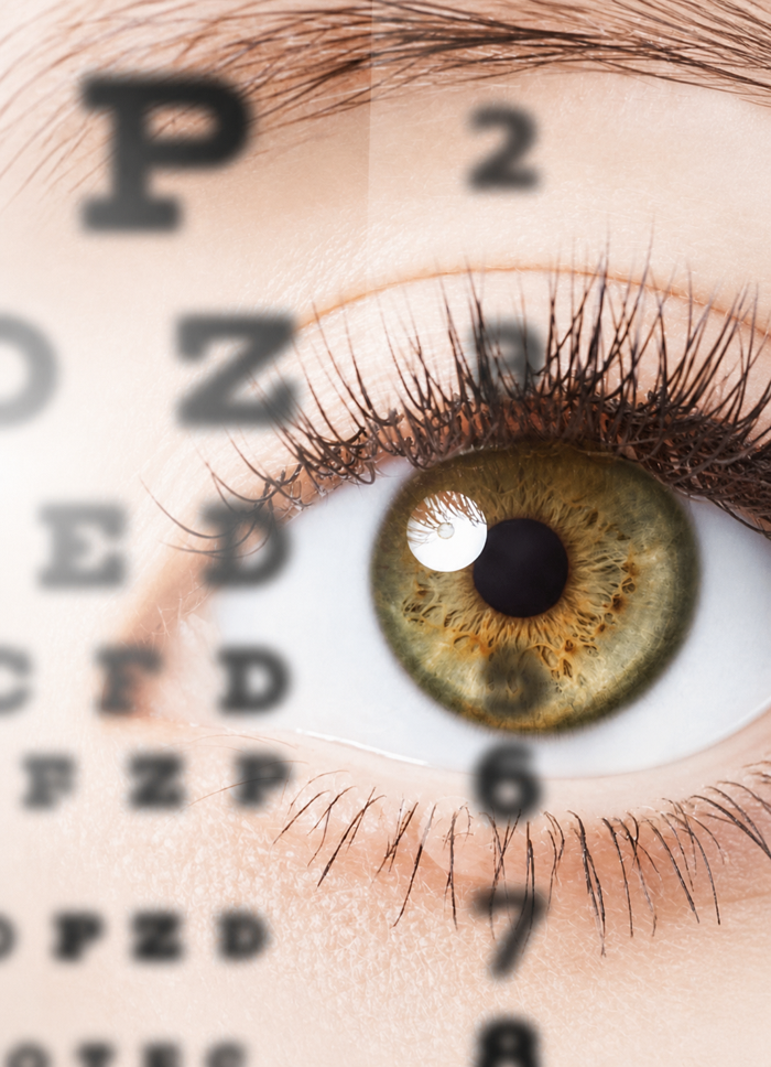 Retina e Vítreo